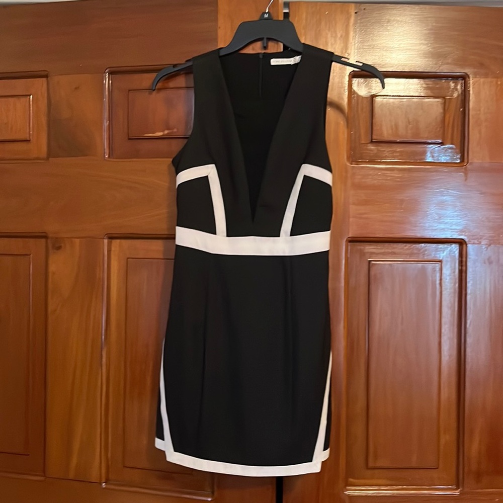 Deep sheer V mini dress.
